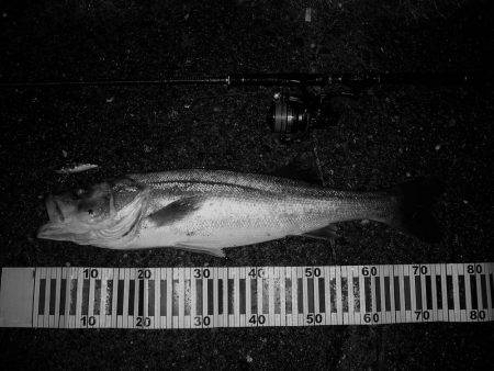 サラシの中でHit!